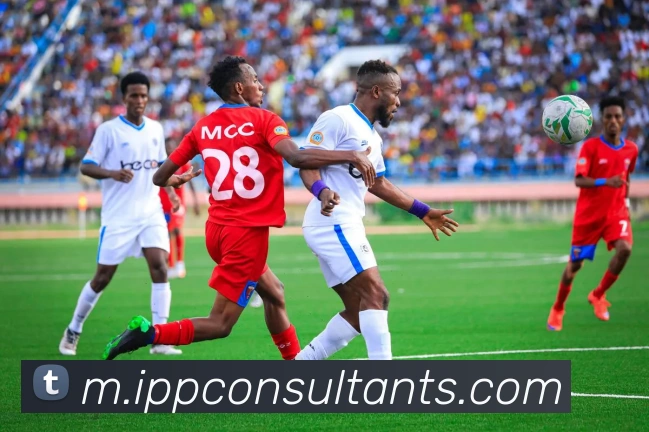 App Interface Preview